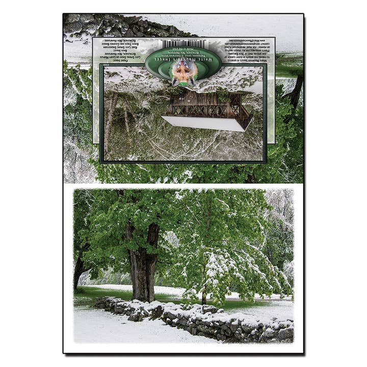 #1020 Late Spring Snow Notecard for wholesale by White Mountain Images
