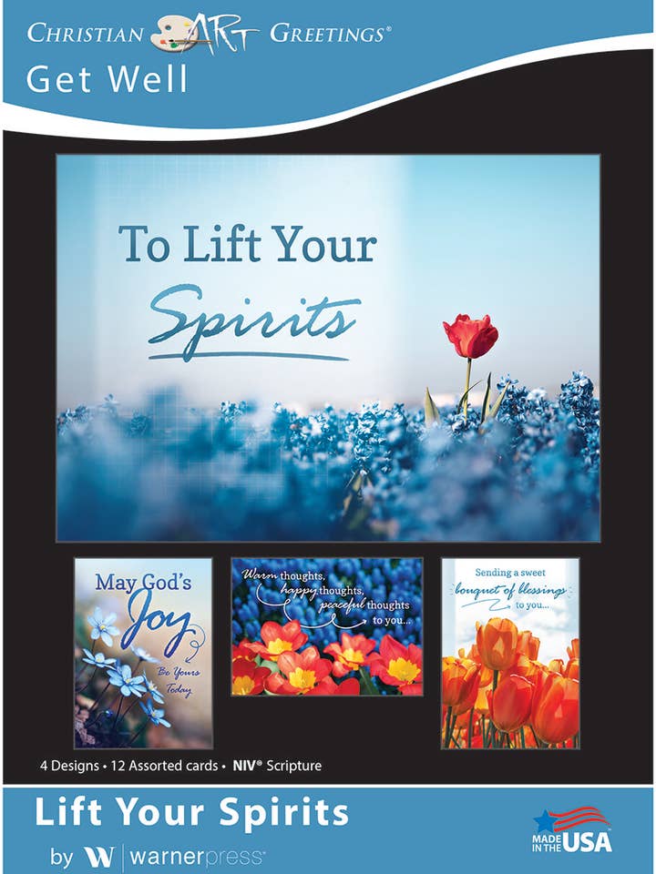 Greeting Card Box - Get Well - Lift Your Spirits for wholesale by Warner Press