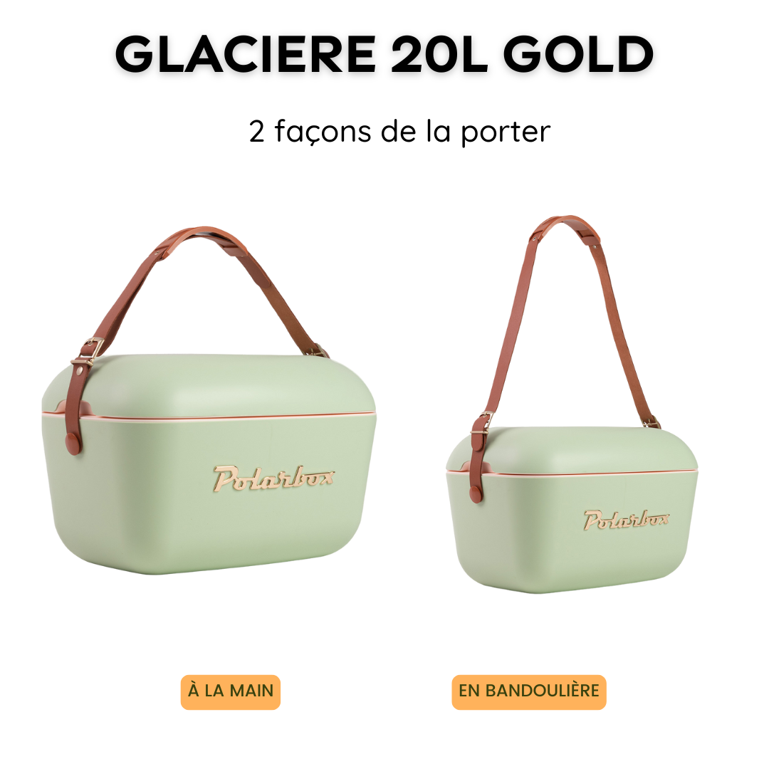 BADAWIN – wholesale Kyl-/kylväska – POLARBOX OLIV 12L KYLARE - GULD11