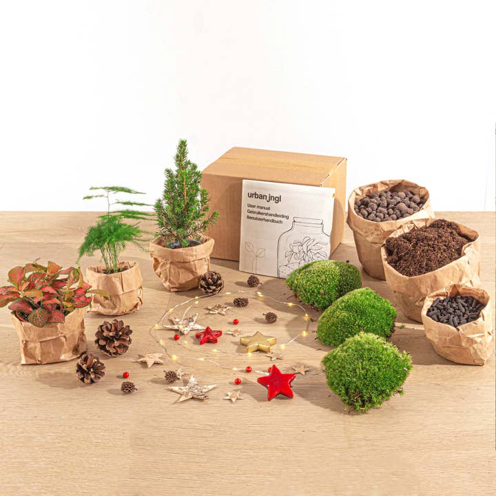 Christmas Plant terrarium package - Christmas Kit & Tree - 3 terrarium plants - Refill & Starter package for wholesale by Trendhero.nl/b2b