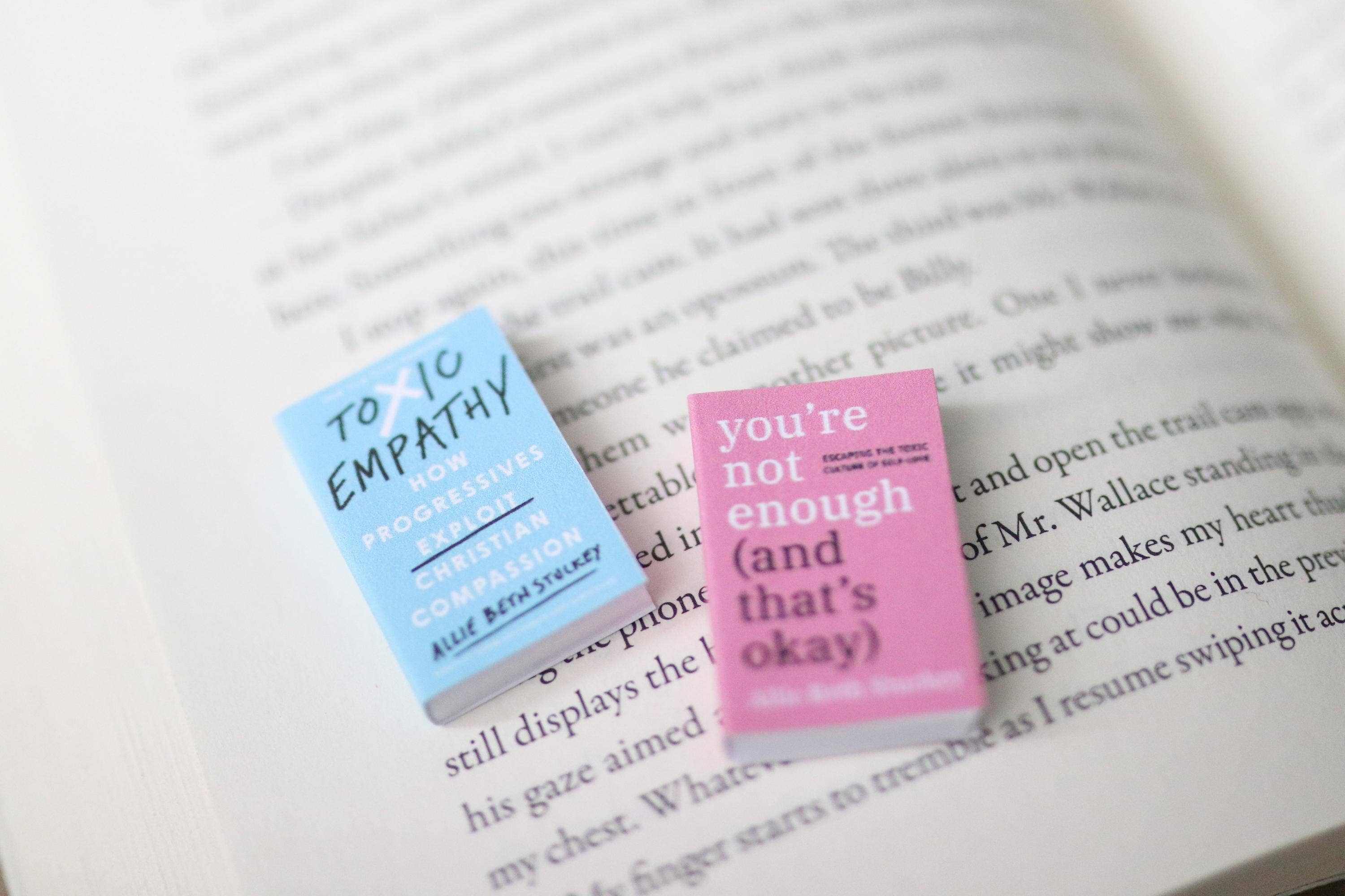 The Sticker Shop - Wholesale Decorative Figurine - Handmade MINI Allie Beth Stuckey Books (set of 2 mini books)2