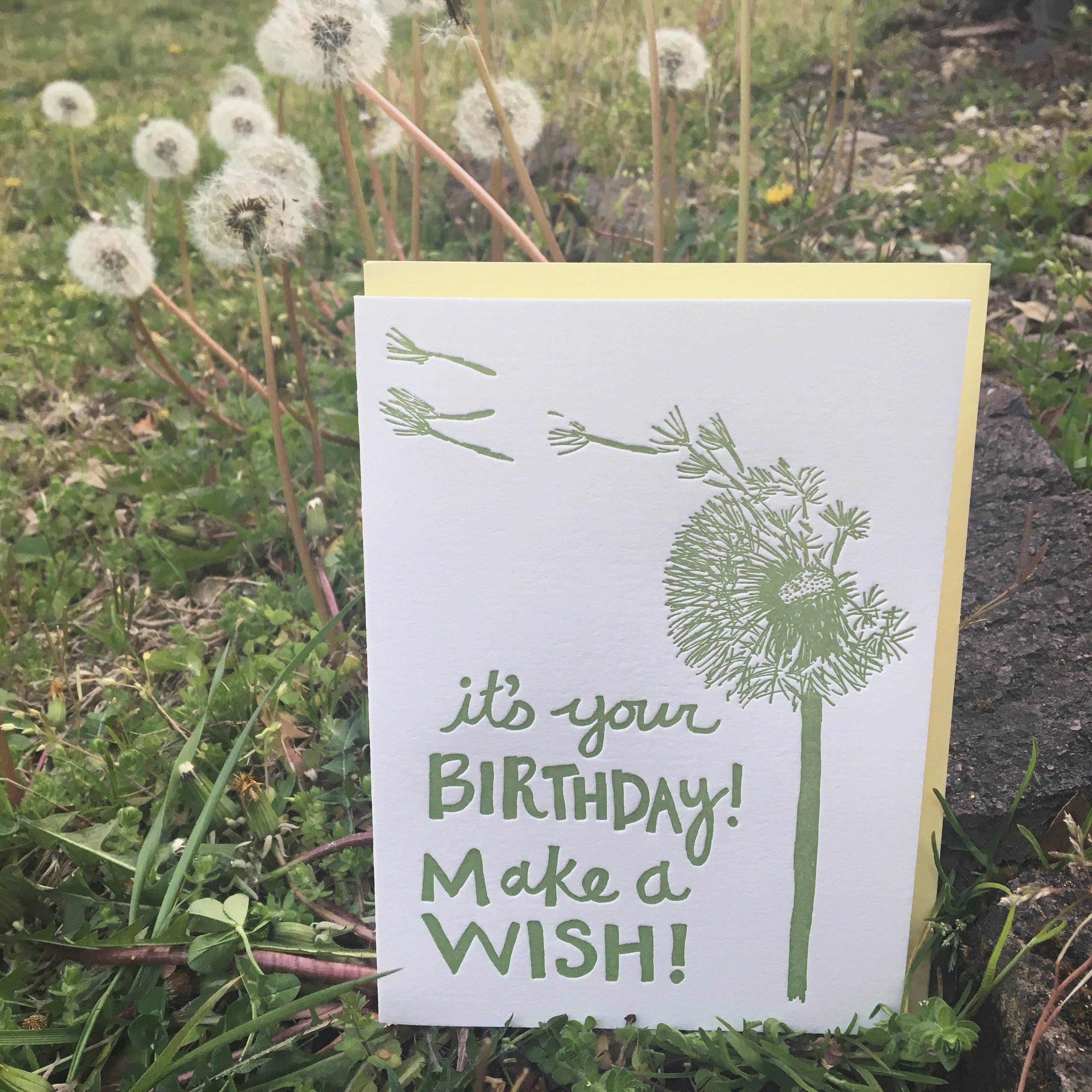 Macon York Press - Wholesale Birthday Card - Birthday Letterpress Greeting Card: Dandelion "Make a Wish"1