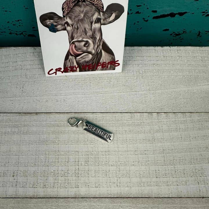 Crazy Heifers Wholesale - Wholesale Individual Charm/Pendant - Clip-on Charms Silver Tone14