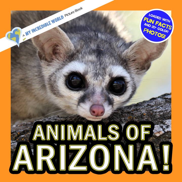 Animals of Arizona! A My Incredible World Picture Book for Children for wholesale by My Incredible World