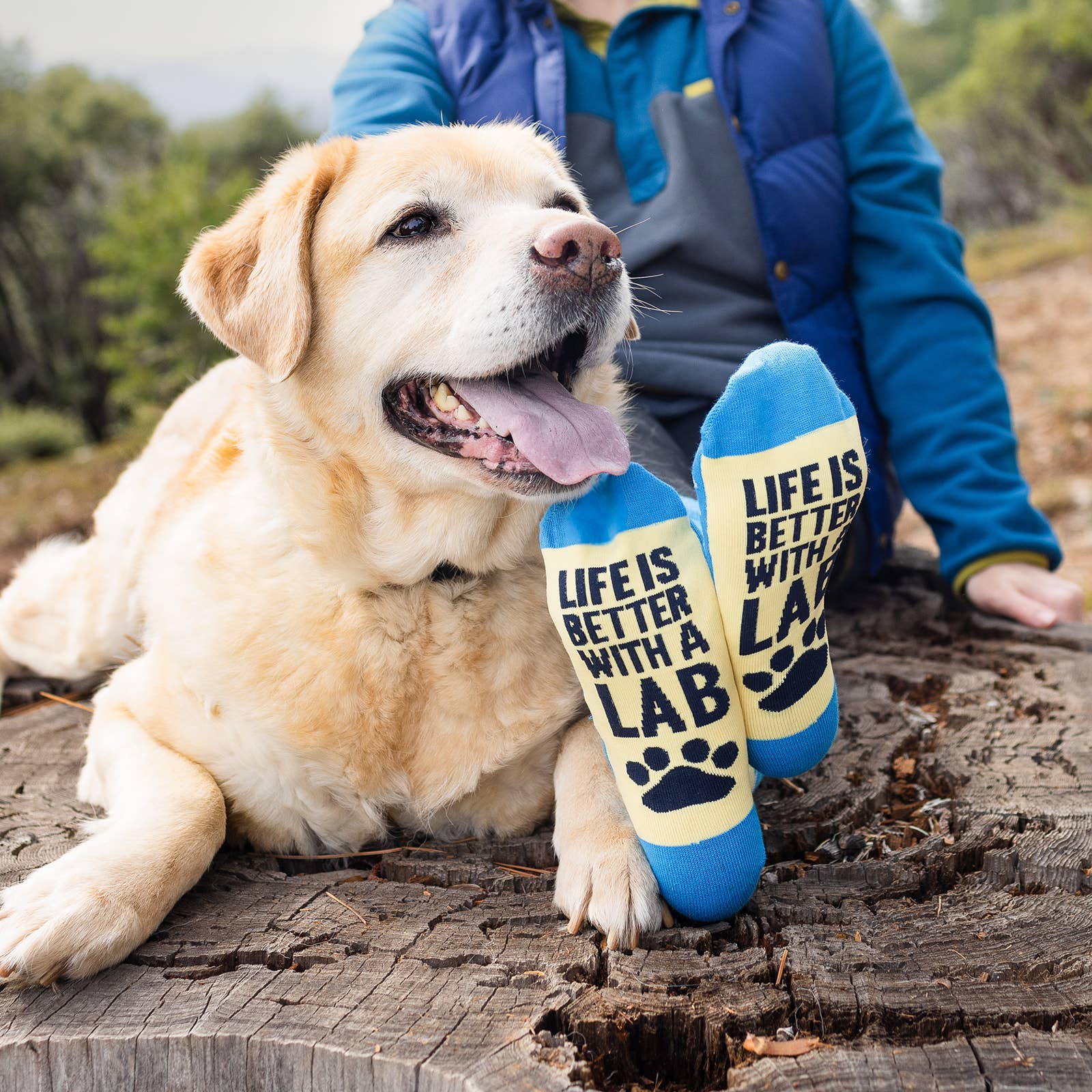 Lavley - Wholesale Socks - Unisex - Life Is Better With a Lab (Labrador Retriever) Socks6