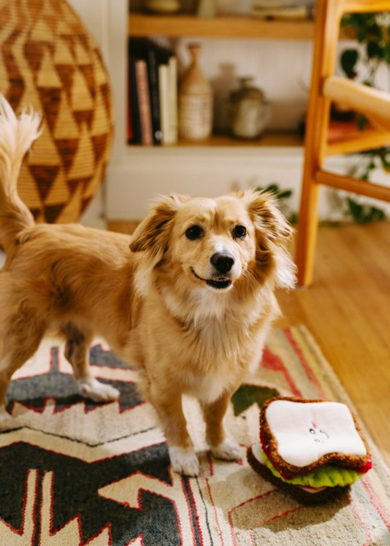 ZippyPaws - Vente Jouet – chien - Snufflerz - Jouet interactif pour chien - Sandwich BLT8