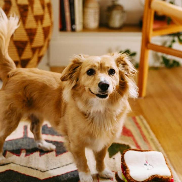 ZippyPaws - Vente Jouet – chien - Snufflerz - Jouet interactif pour chien - Sandwich BLT8