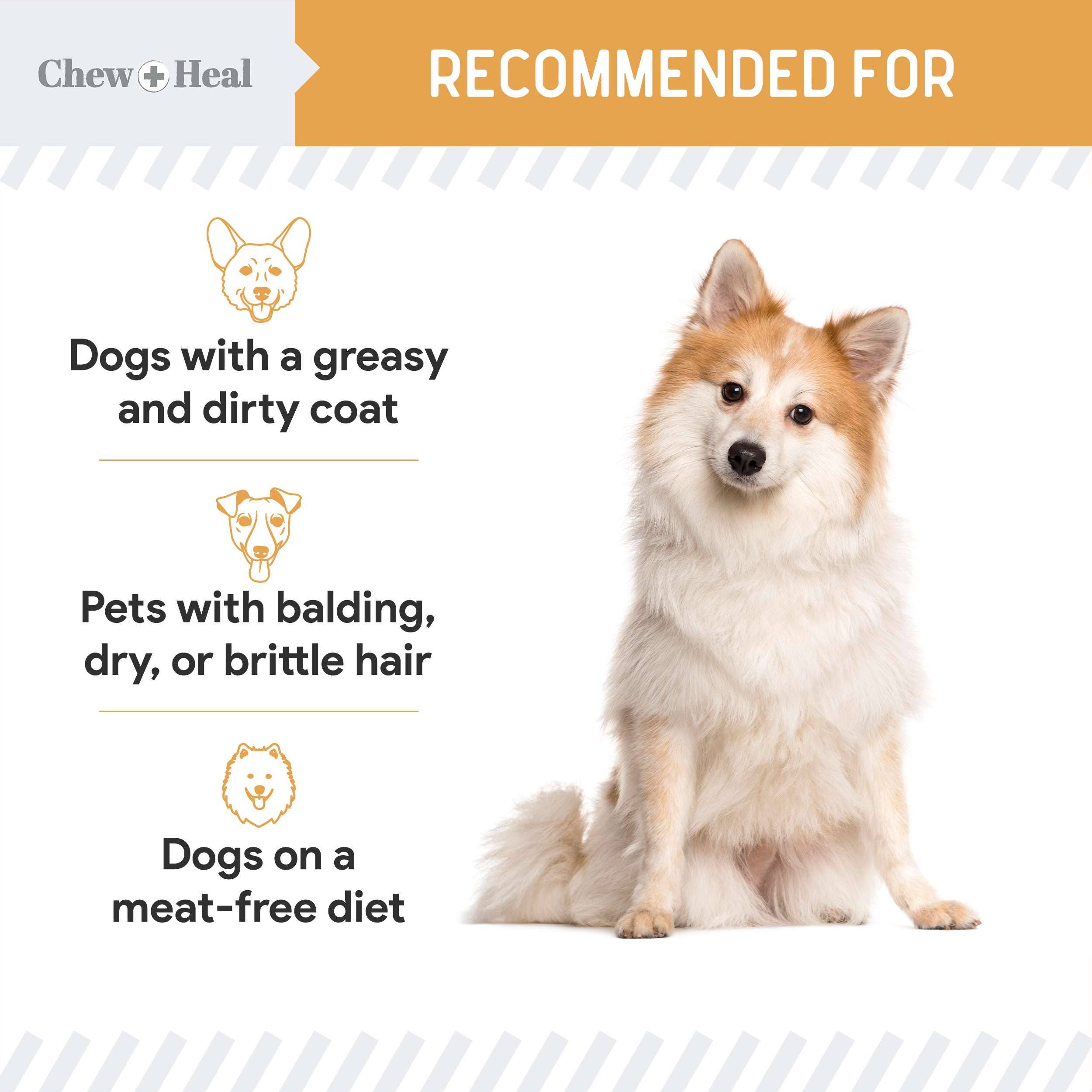 Chew + Heal - Wholesale Pet Treats - Dog - Wild Alaskan Omega Soft Jerky Treats for Dogs - 5oz. Bag6