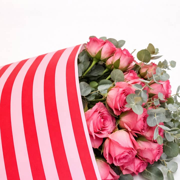 Ecowaterproof 70 cm x 50 m STRIBER Candy pink/rød for engroshandel hos CHIC&PAPER