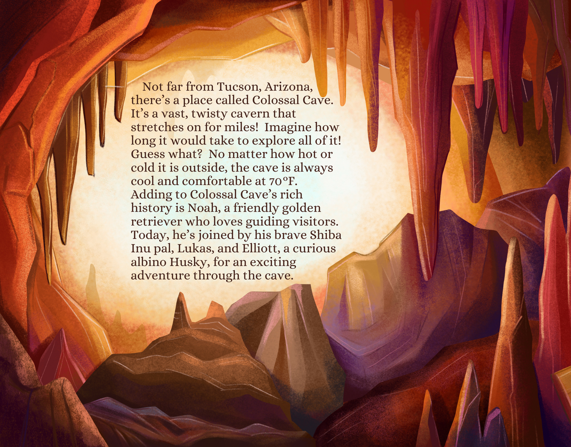 Miso and Kili's Treasure Shop - Wholesale Early Reader Book (6-8) - A Southern Arizona Cave Adventure Hardcover3