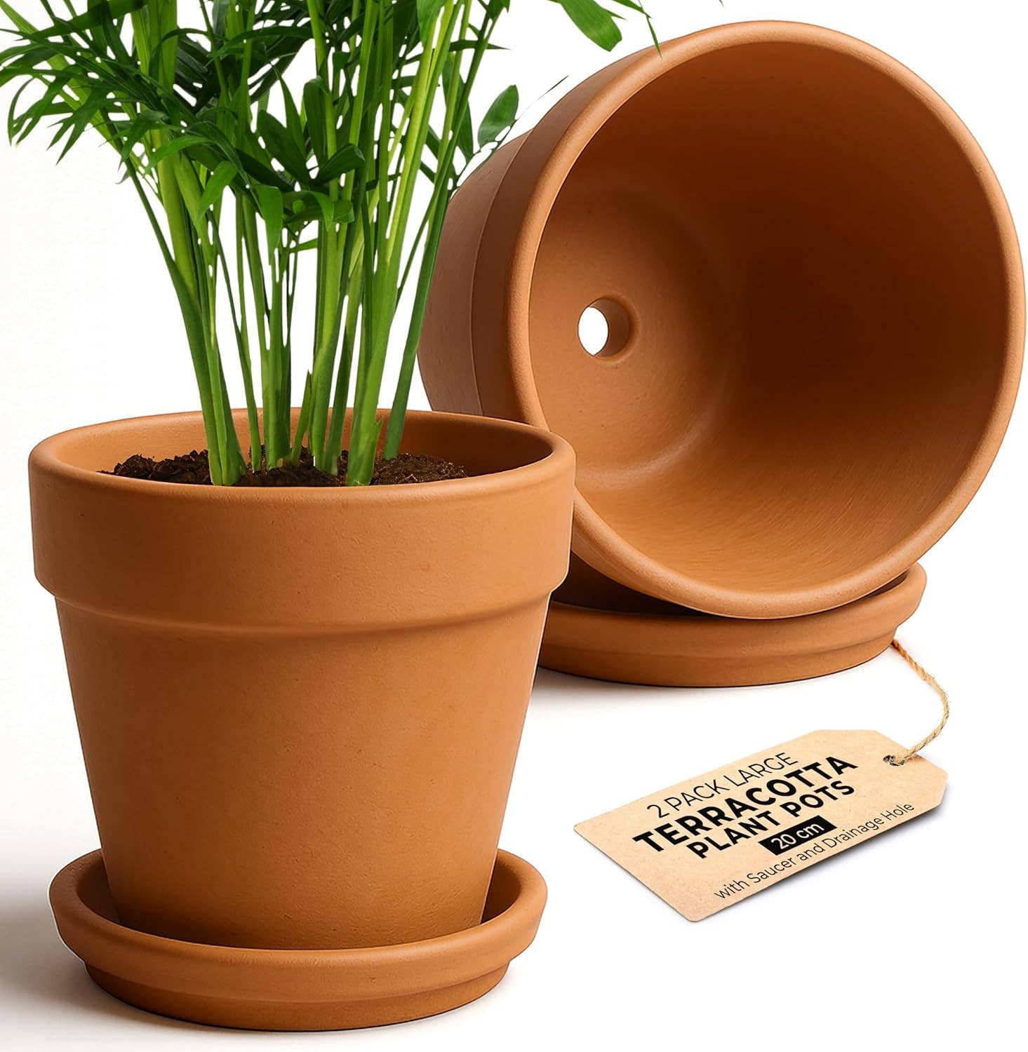 Jara Trading – wholesale Plant pot – Small Clay Terracotta Plant Pots - 16 Pack2