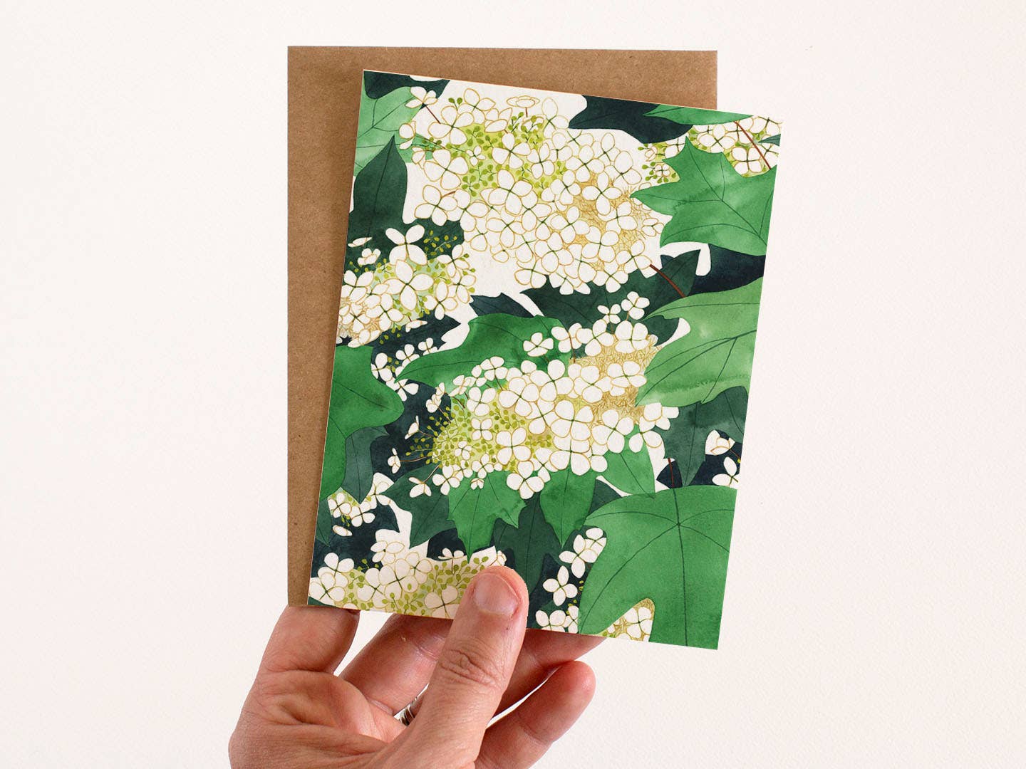 May We Fly - Wholesale Stationery/Notecard Set - Oakleaf Hydrangea Greeting Card - Box Set of Eight2