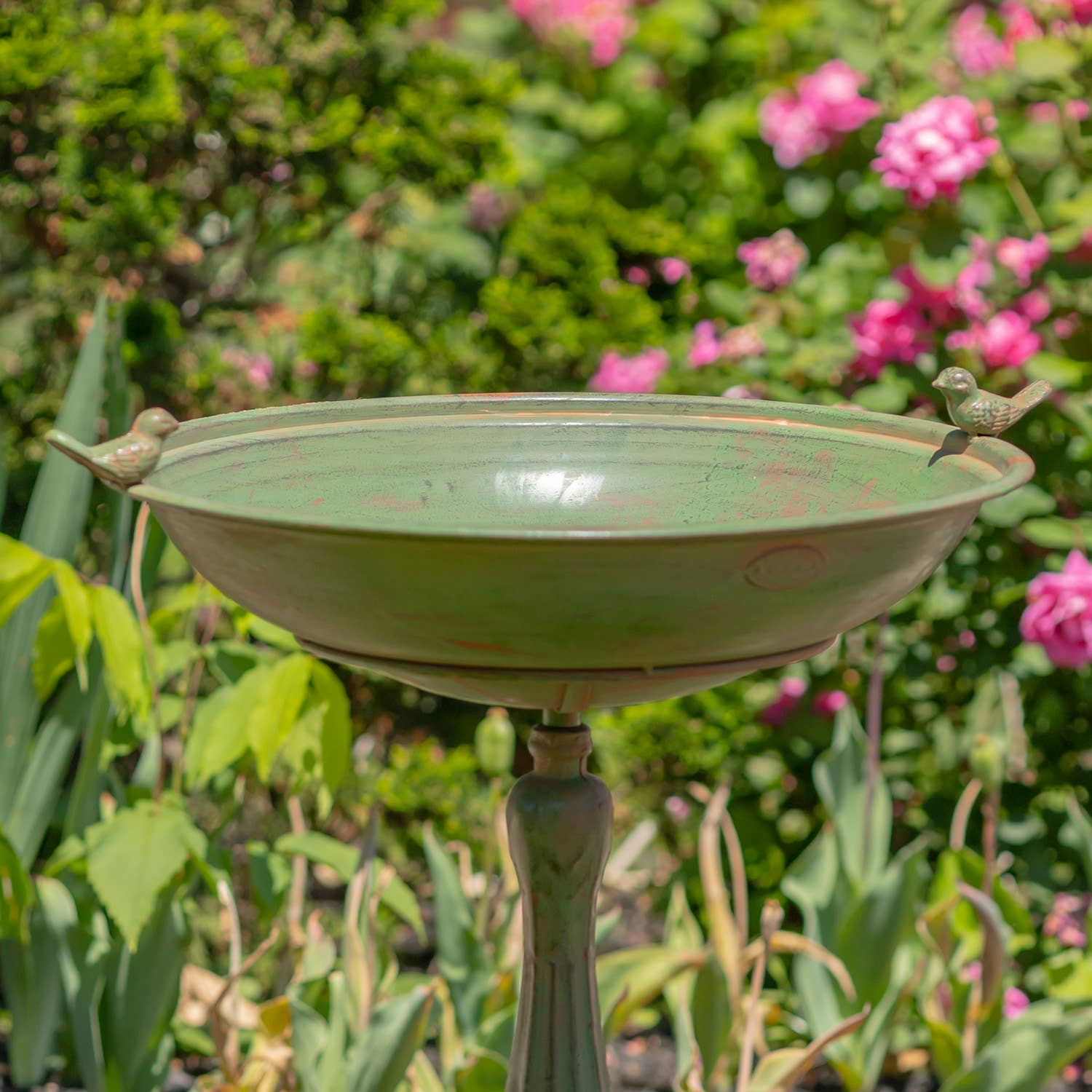 Zaer Ltd. International - Wholesale Bird Bath - Pedestal Birdbath with Little Bird Detail - 3 Options4