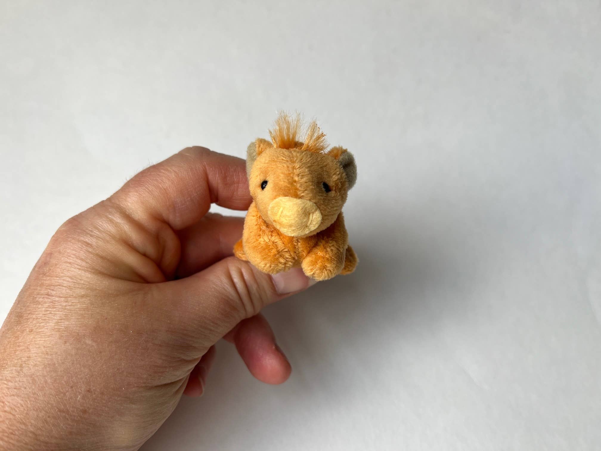 The Gifted Rat - Vente Peluche – enfant et bébé - Miniature vache Highland en peluche9