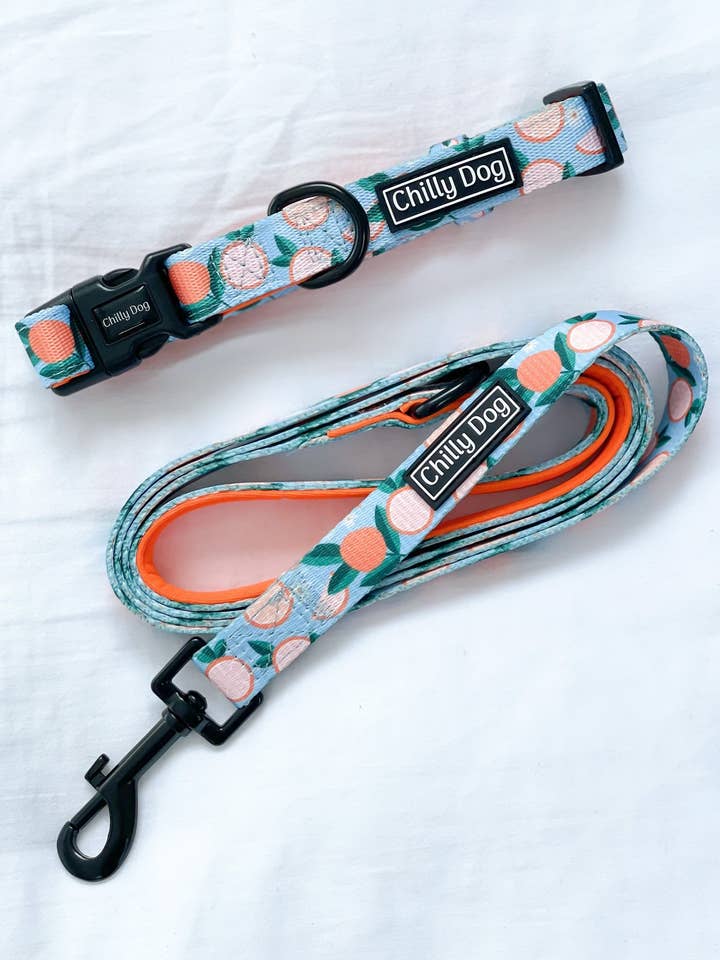 Orange Tangerine Dream Puppy Dog Collar for wholesale by Chilly Dog