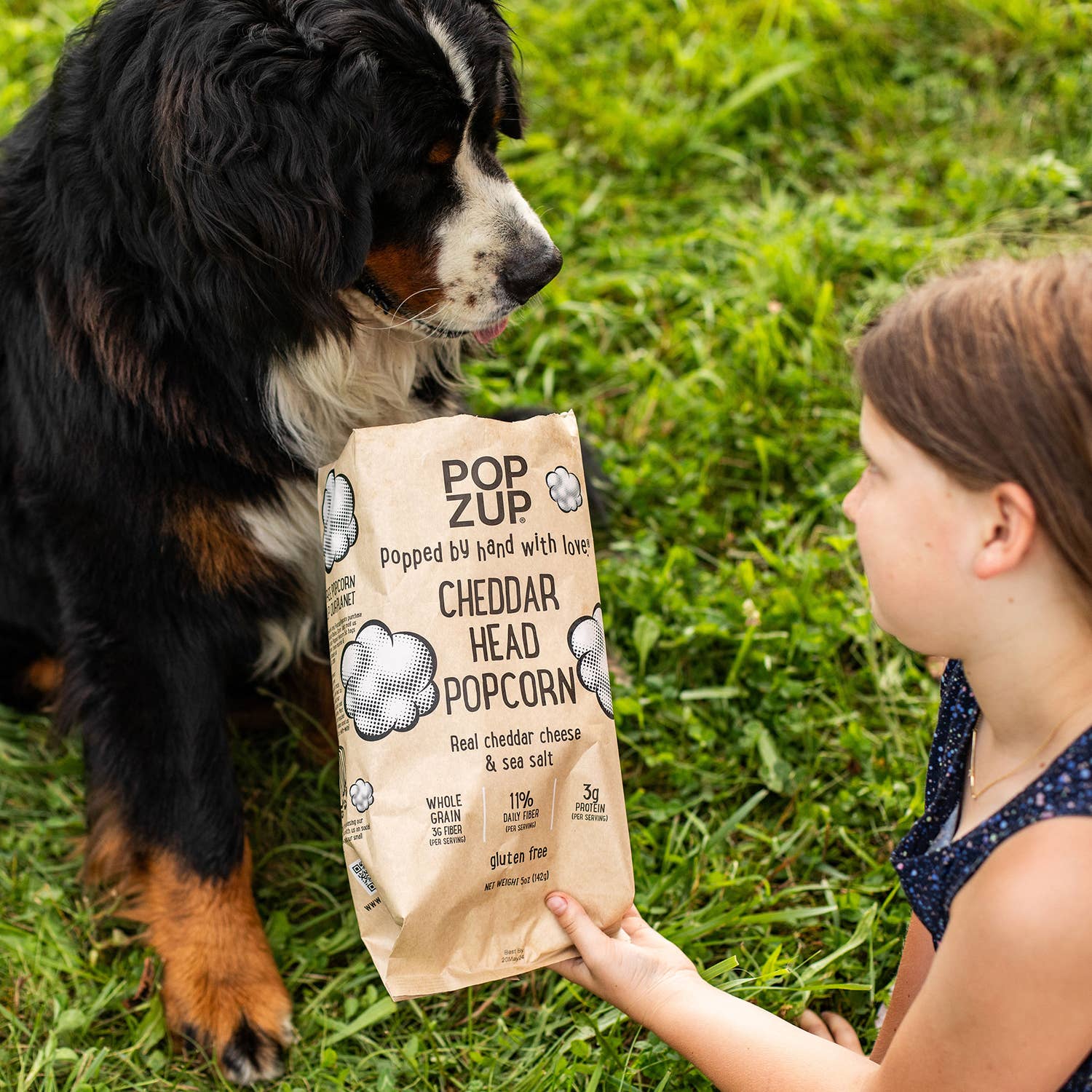 Popzup Popcorn – wholesale Popcorn – Cheddar Head Popcornpåsar - Familjestorlek4