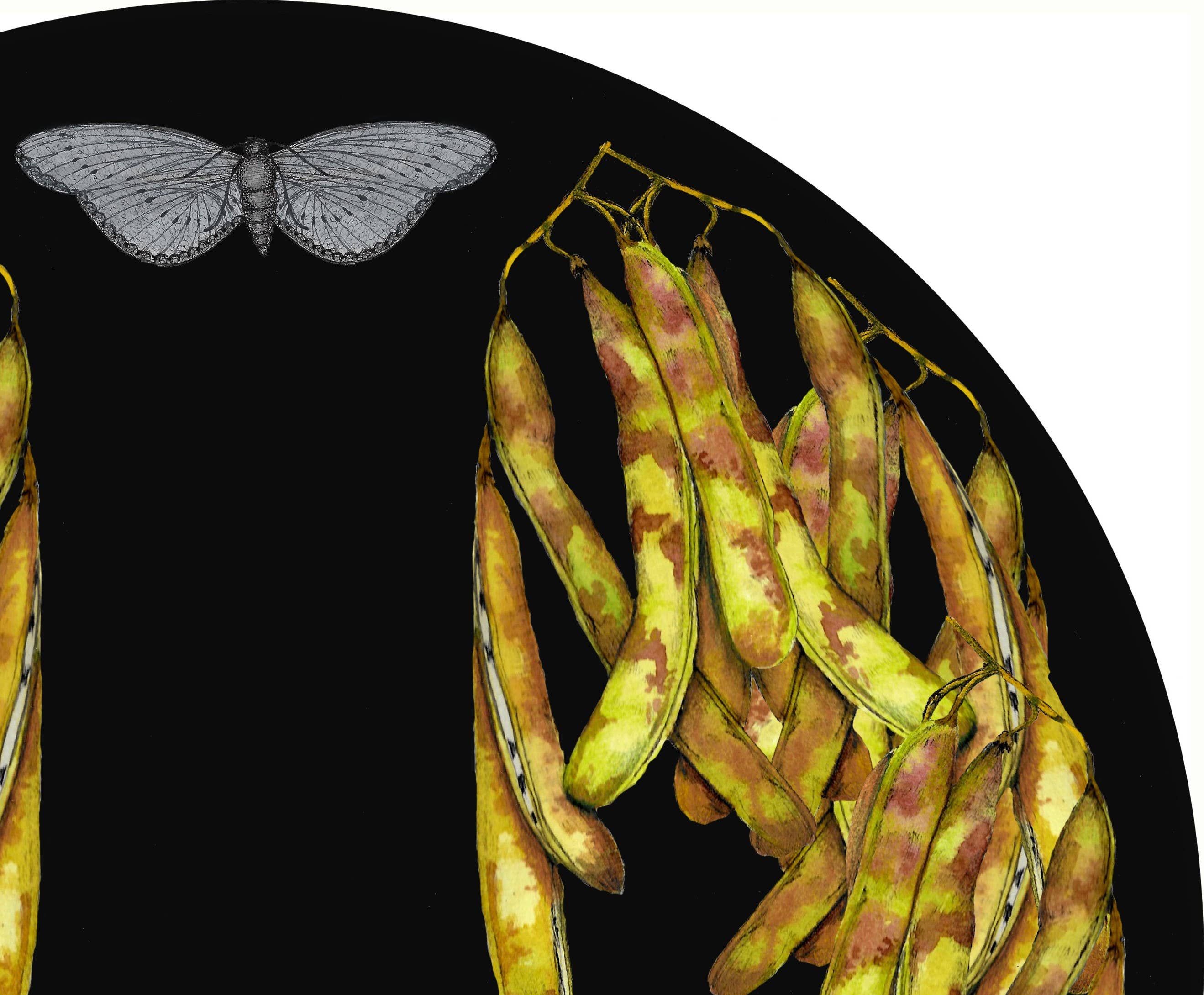 SENA CIFUENTES - Wholesale Wall Accent - ROUND ALIA 43