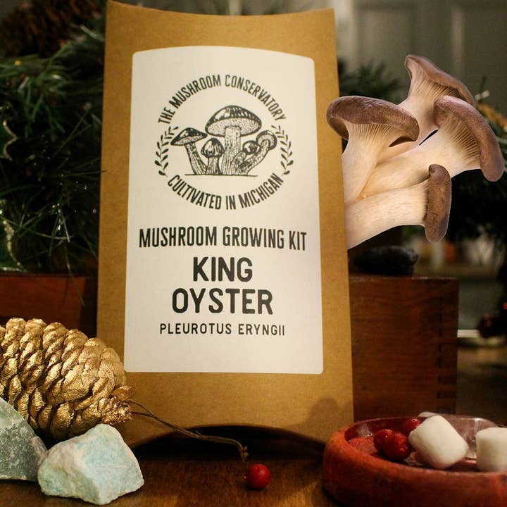 Kit de culture de champignons comestibles King Oyster Gourmet pour la vente par The Mushroom Conservatory LLC