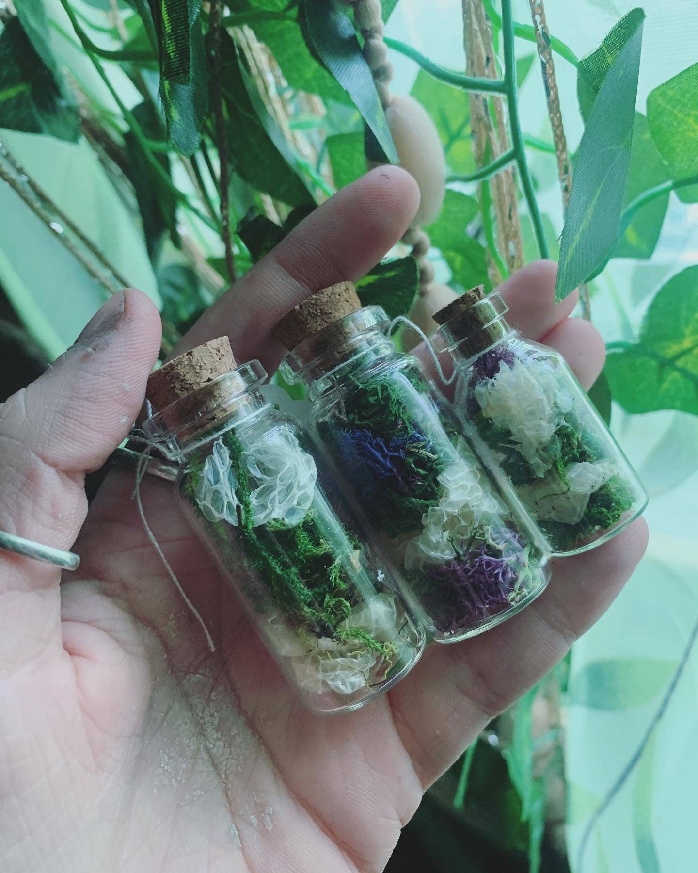 Leafy Ann Art – Engroshandel Apotekerkrukke – Håndlavet apotekerkrukke med slangeskind og mos