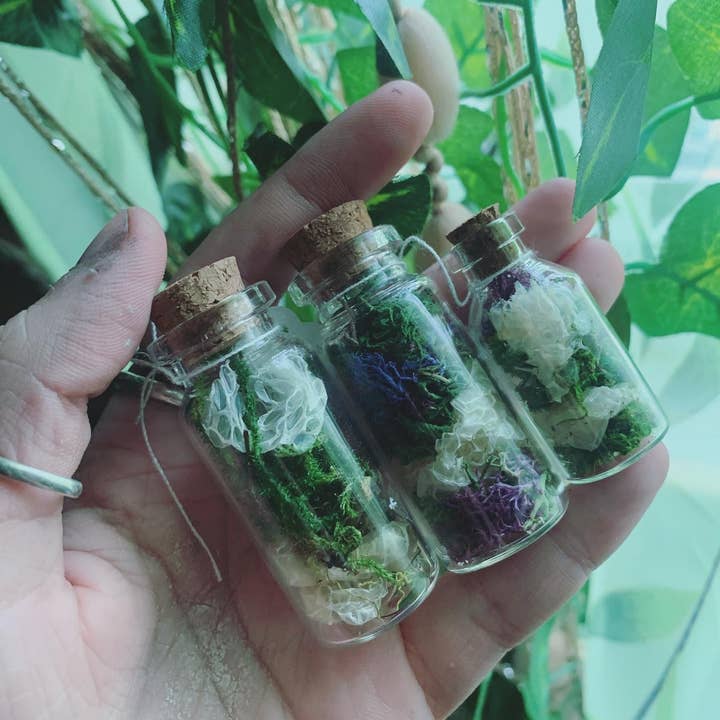 Leafy Ann Art - Wholesale Apothecary Jar - Snake shed Moss Apothecary Jar