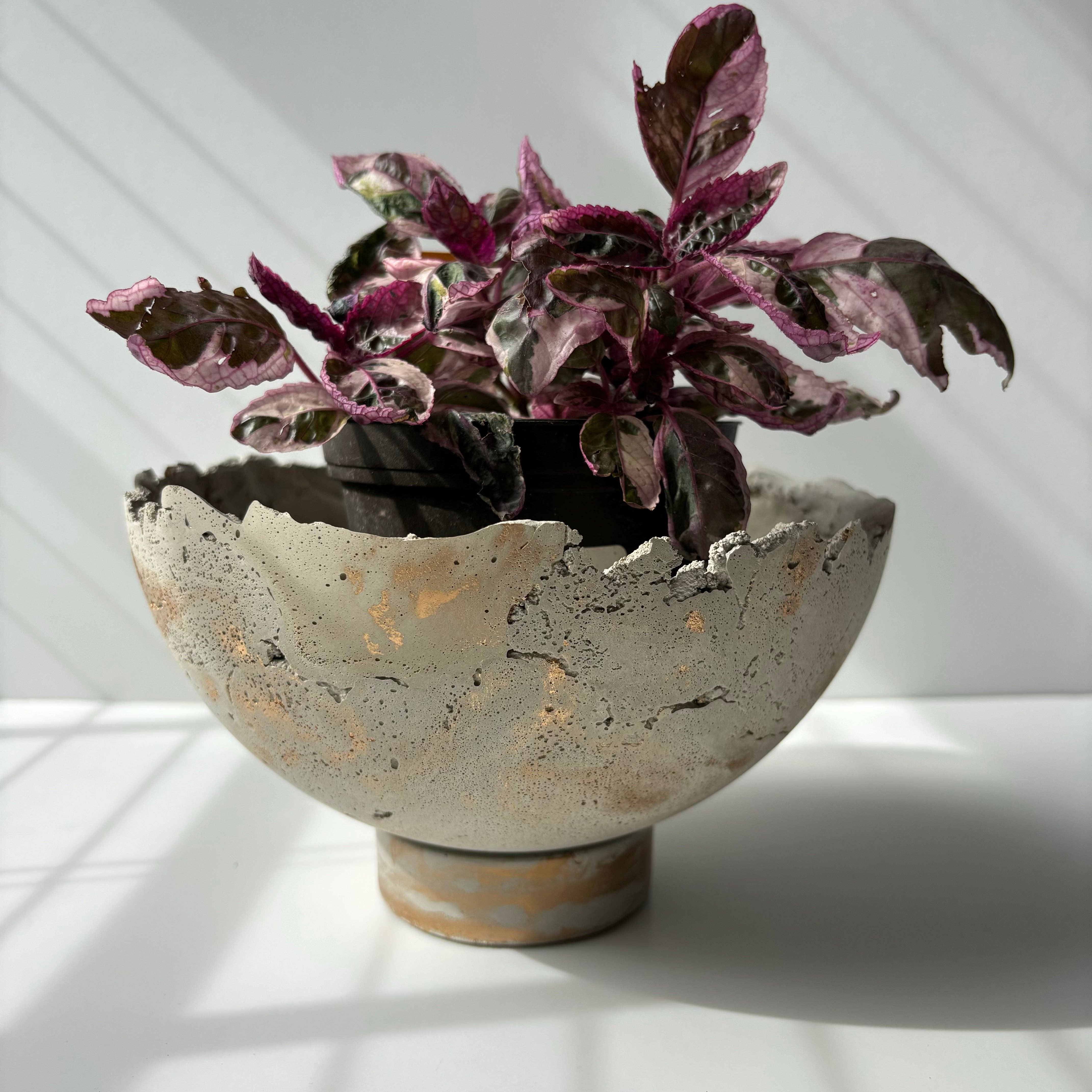 Fancy Concrete - Wholesale Decorative Plate/Dish/Bowl - Half Moon Bowl Pot 7" | Decorative Bowl | Rough Concrete Bowl4