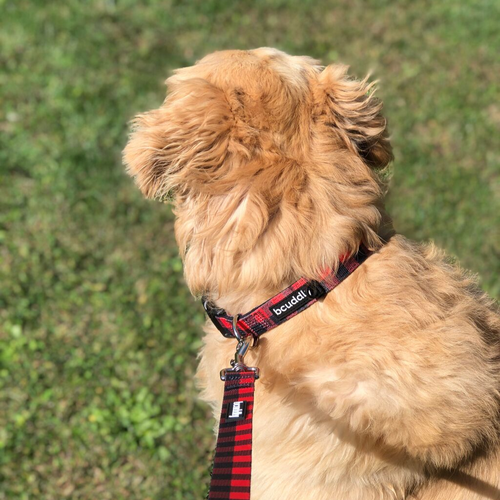 bcuddly - Wholesale Pet Collar - Dog - Dog Collar - Red Plaid2