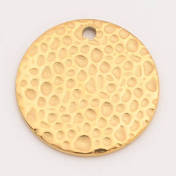 Gold Filled Coin Charm, Stainless Steel Disc Pendant, SCP001 for wholesale by Beads Creation