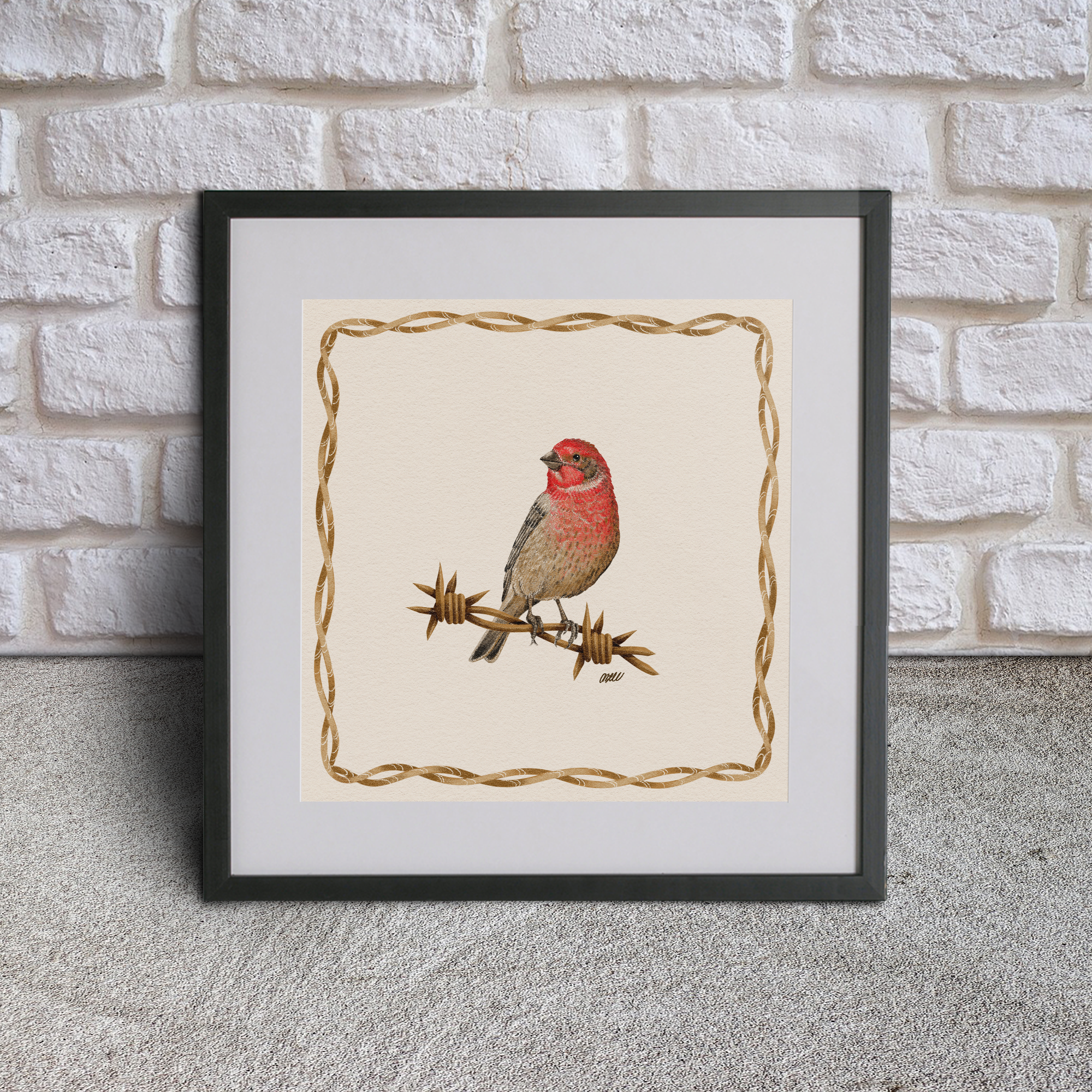 Amanda Marie Bell - Wholesale Art Print - House Finch Print1