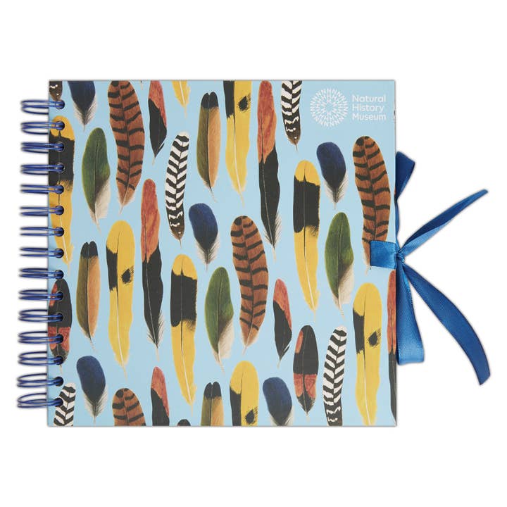West Design Products - Wholesale Scrapbook - Natural History Museum Hardback Scrapbook, Feathers, 8 x 8"