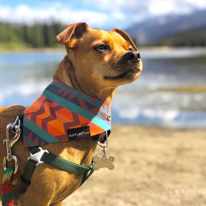 Navajo RUFFLECT® Dog Bandana for wholesale by RUFFLECT Dog Bandanas