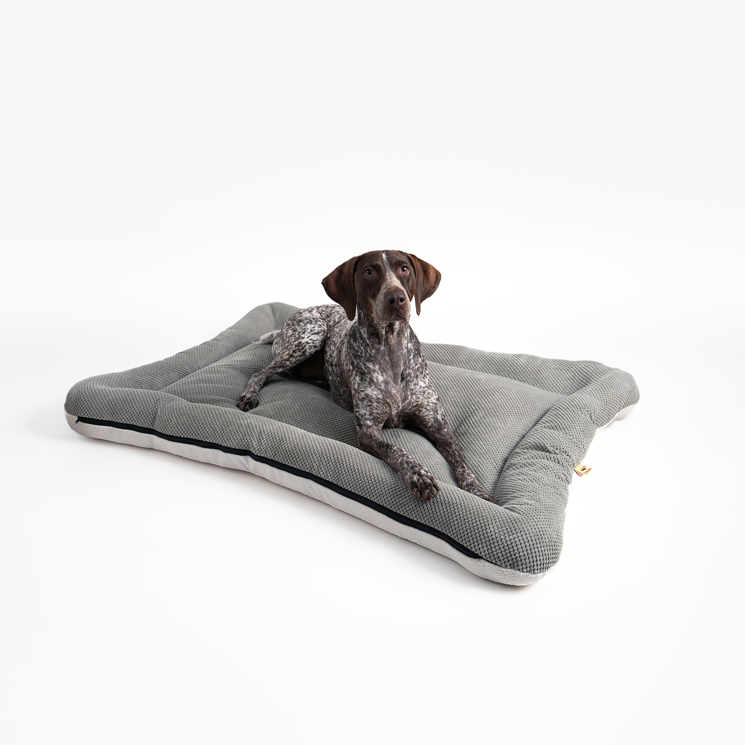 Snoozer Pet Products - Vendita all'ingrosso Letto - Cani - Cuccia per Cani All Day di Snoozer5