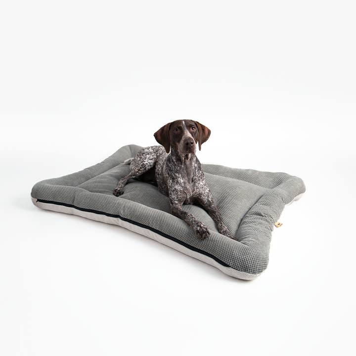 Snoozer Pet Products - Vendita all'ingrosso Letto - Cani - Cuccia per Cani All Day di Snoozer5