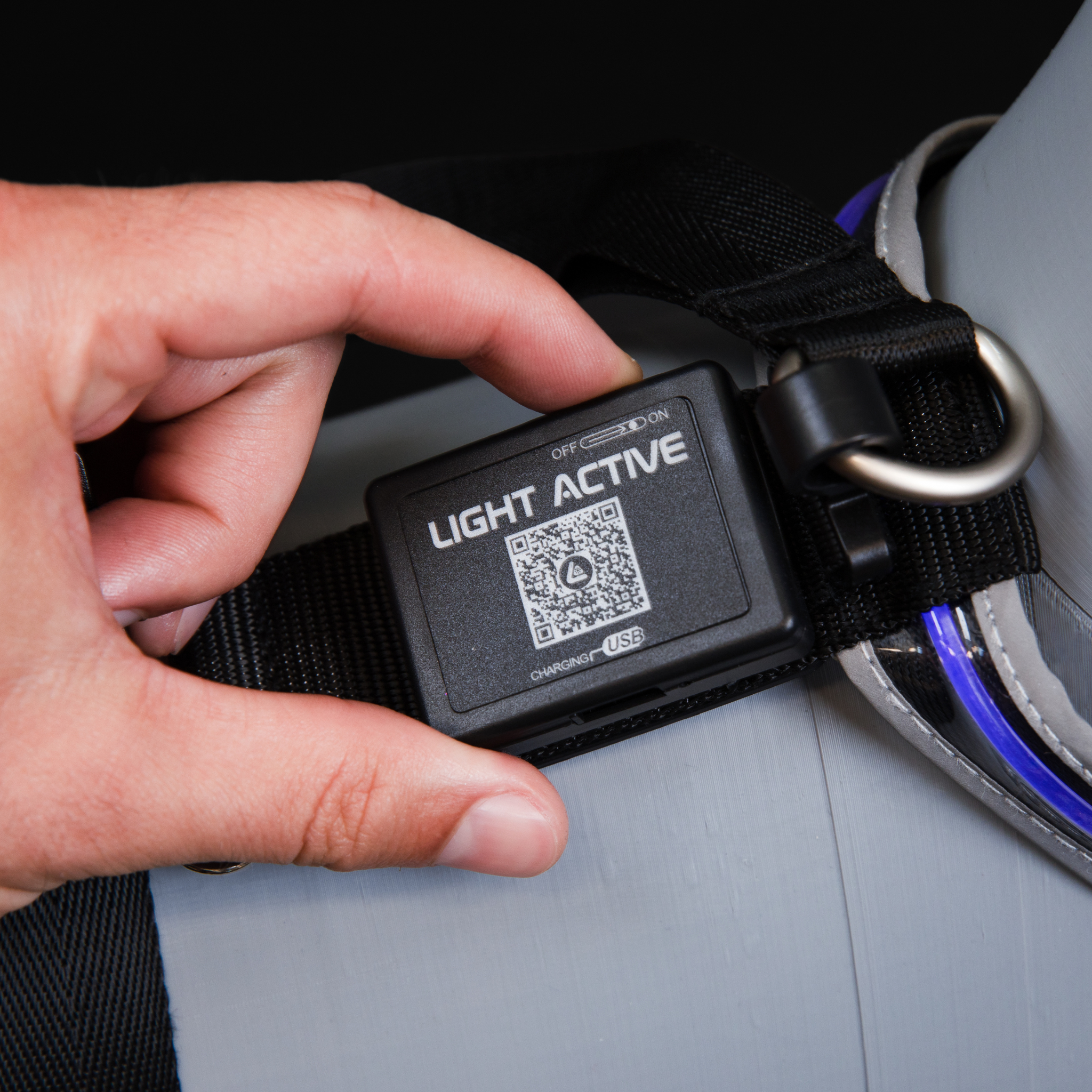 Tangle, Inc. - Wholesale Pet Harness - Dog - Light Active® Light-Up LED Dog Harness5