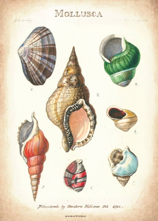 Bomo Art Budapest - Wholesale Everyday Greeting Card - Greeting Card + Envelope28