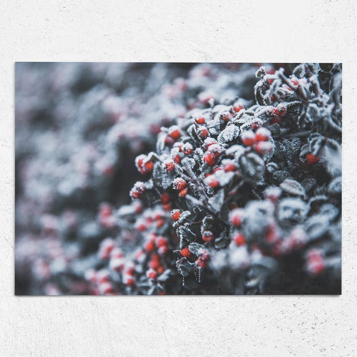 Ansichtkaart winter adem A6 voor wholesale door Justepixx