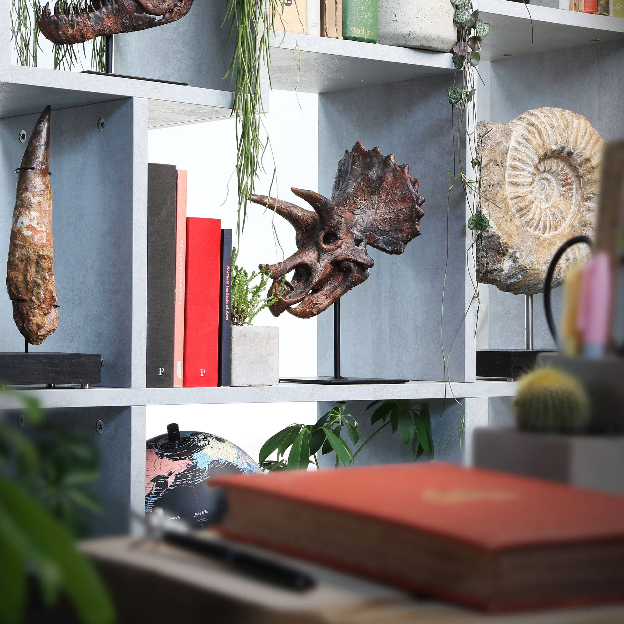 Curated Studio - Wholesale Decorative Figurine - Triceratops Skull Painted Statue - Dinosaurs, Gifts For Him3