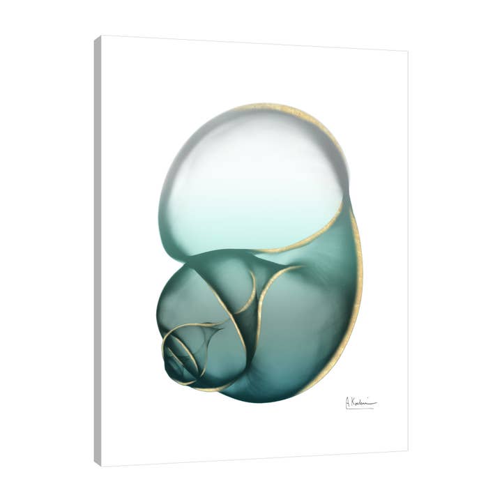 Toile enveloppée de la galerie d'escargot chatoyante pour la vente par Jaxson Rea