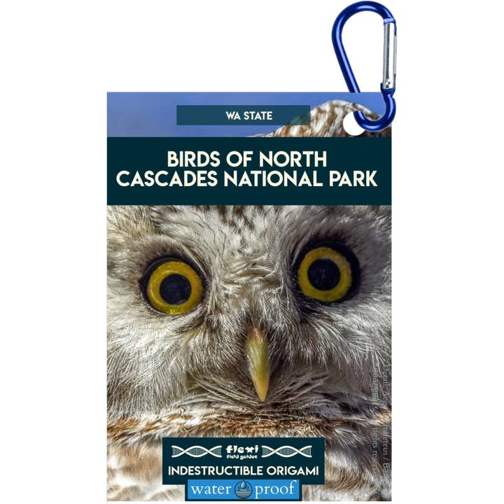 Fugle fra North Cascades NP-Uforgængelig Origami for engroshandel hos Flexi Field Guides