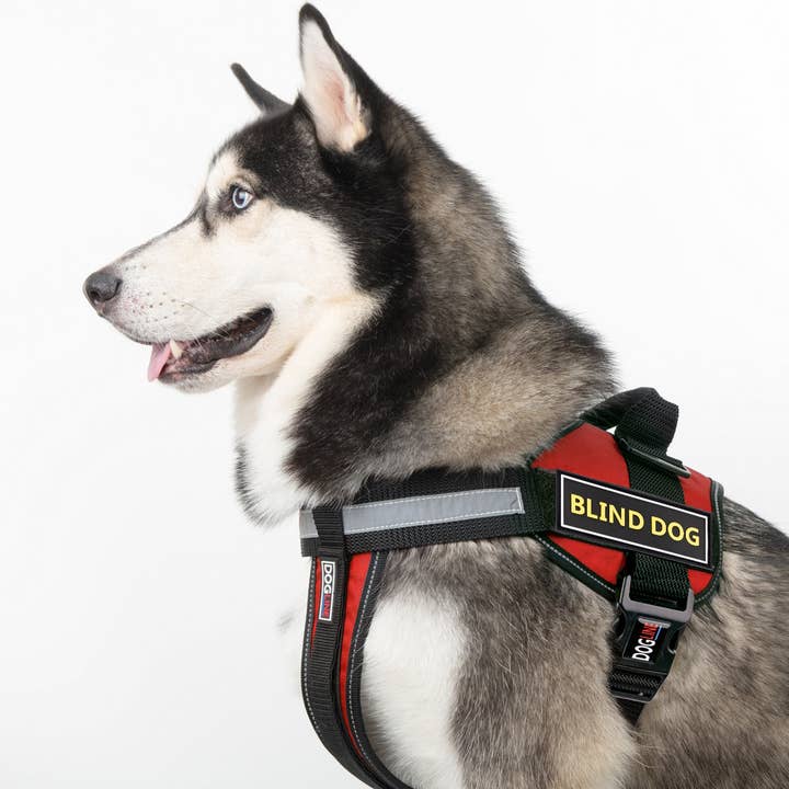 Dogline - Wholesale Pet Harness - Dog - Dogline Blind Dog 3D Rubber Patches