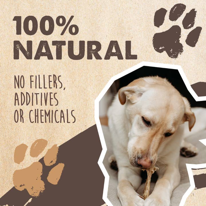 Mighty Paw - Wholesale Pet Treats - Dog - All-Natural Cow Ear Chews2