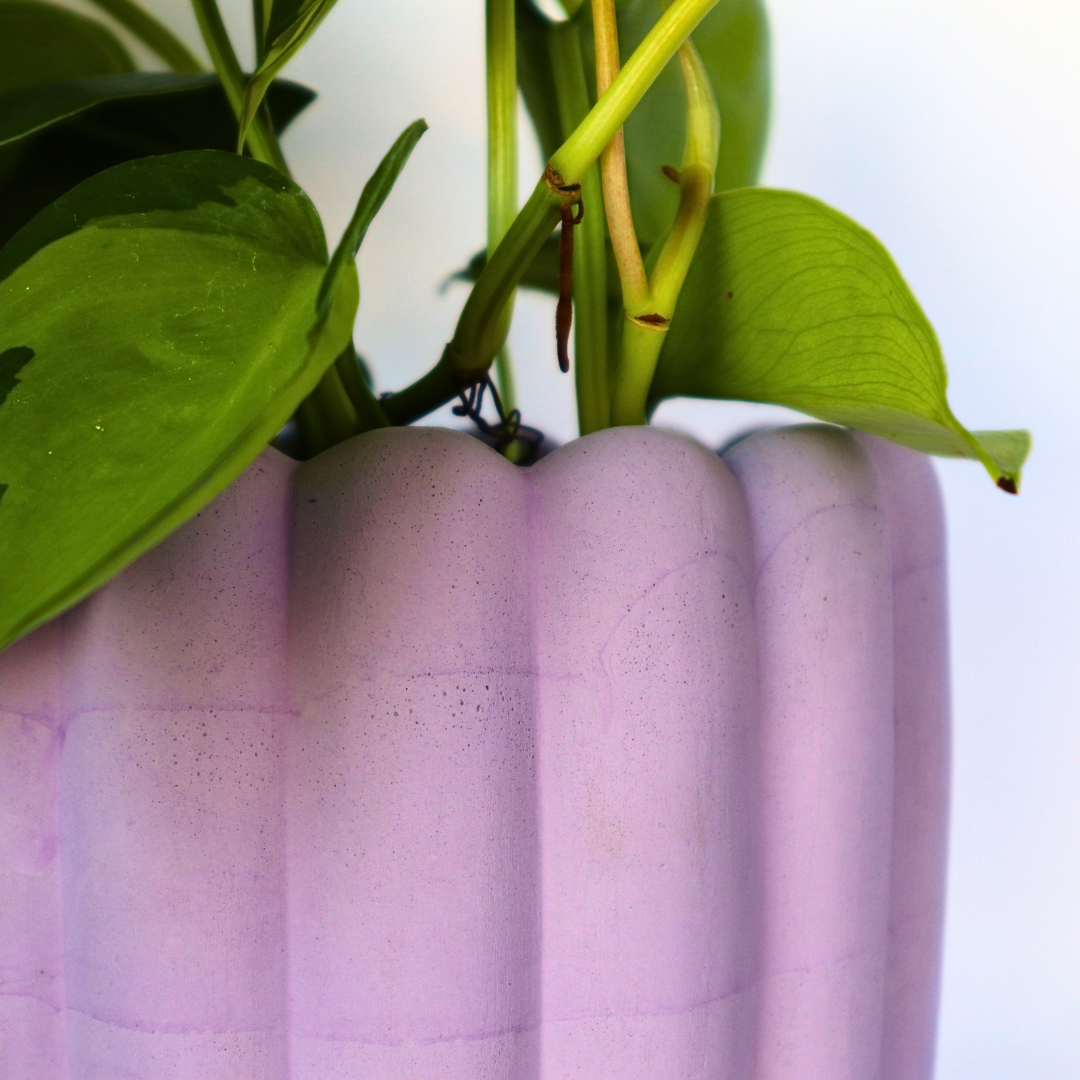 The Plant Supply - Wholesale Plant Pot - Scallop Planter - 4.5" | Concrete Plant Pot2