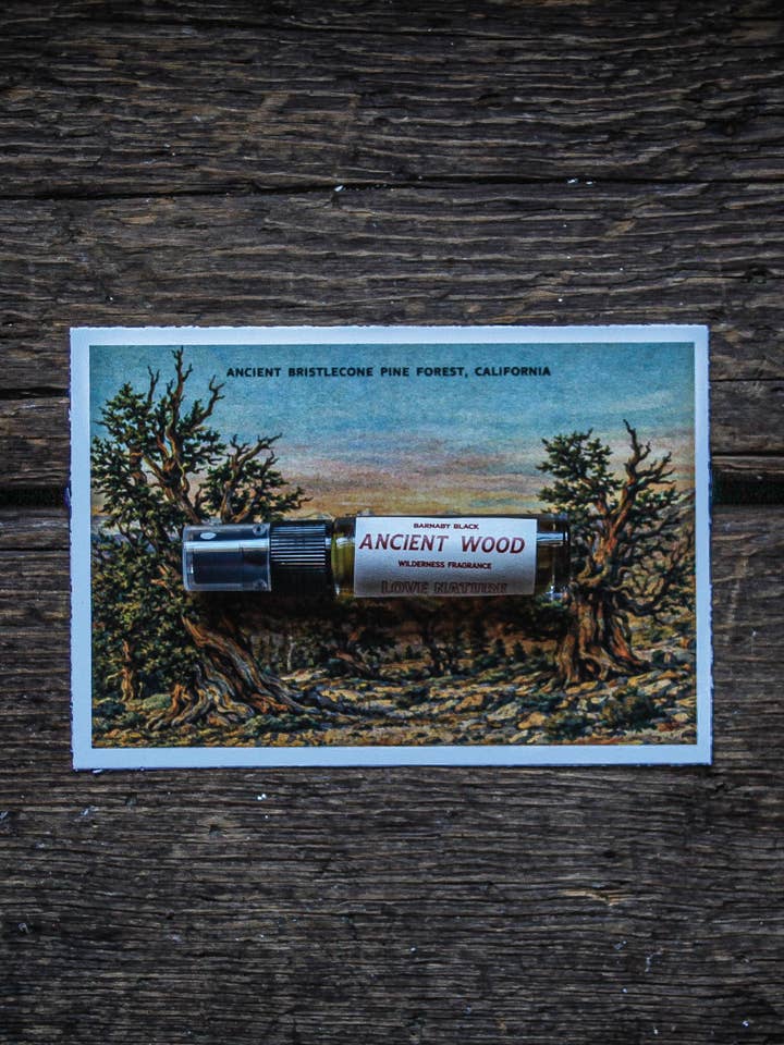 Ancient Wood Travel Fragrance for wholesale by Barnaby Black