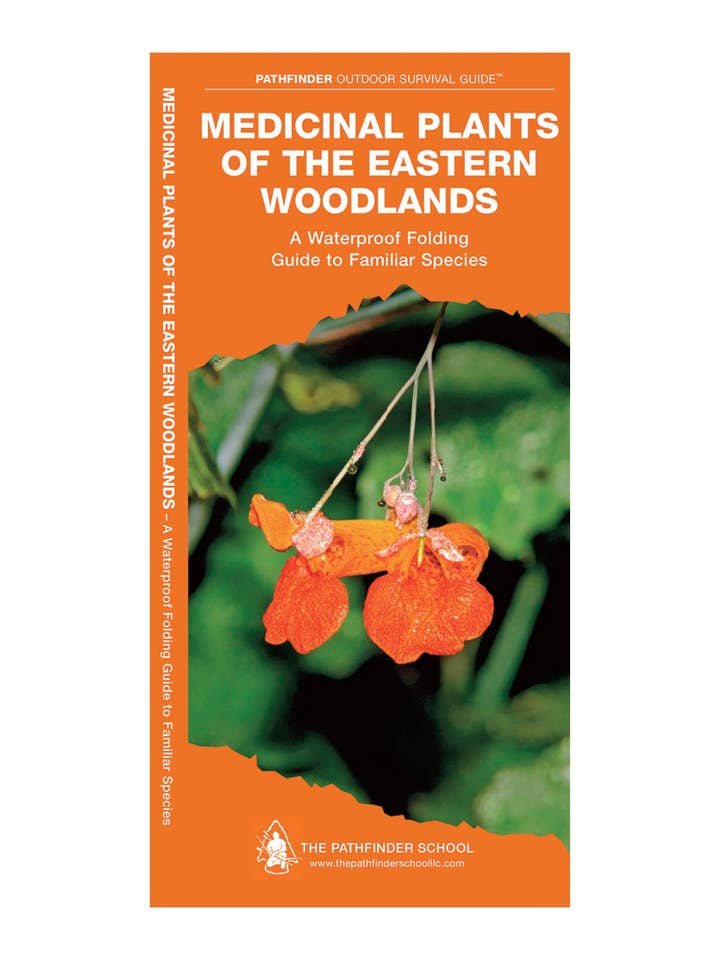 Medicinal Plants of the Eastern Woodlands Field Guide for wholesale by National Book Network
