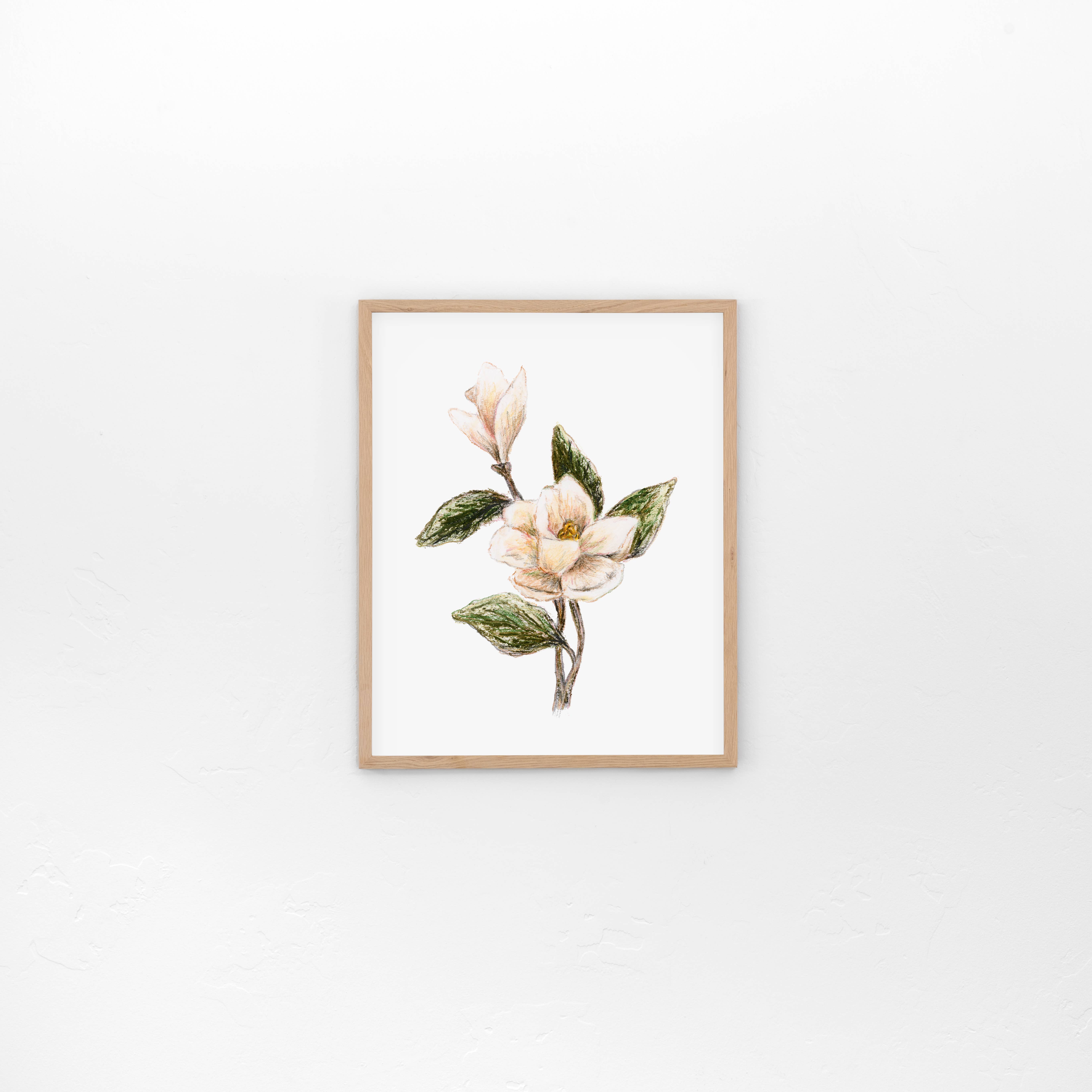 Howell Designery - Wholesale Art Print - Magnolia - Fine Art Print