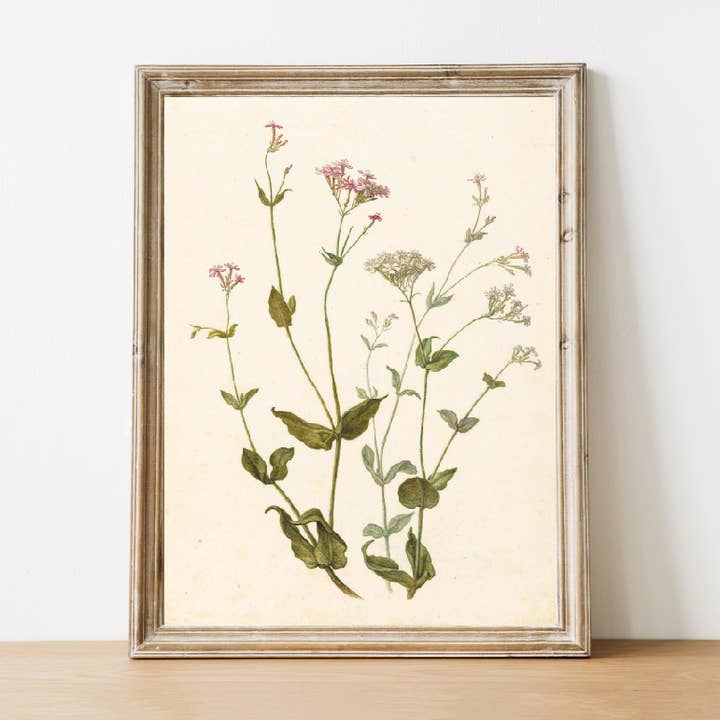 Wildflower Vintage Art for wholesale by Pink Lemon Decor