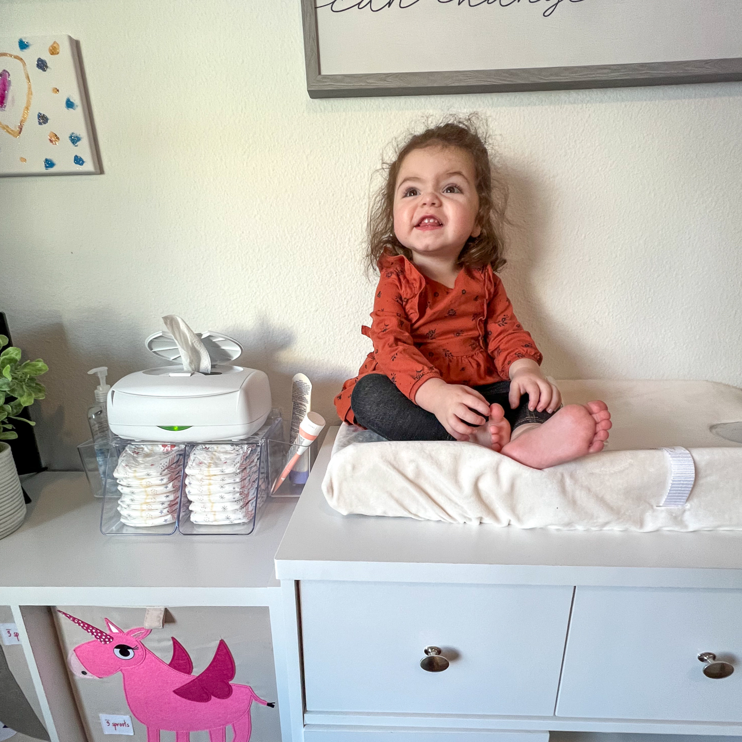 Prince Lionheart - Venta al por mayor Organizador de pañales- Bebés - Dresser Top Diaper Depot™14