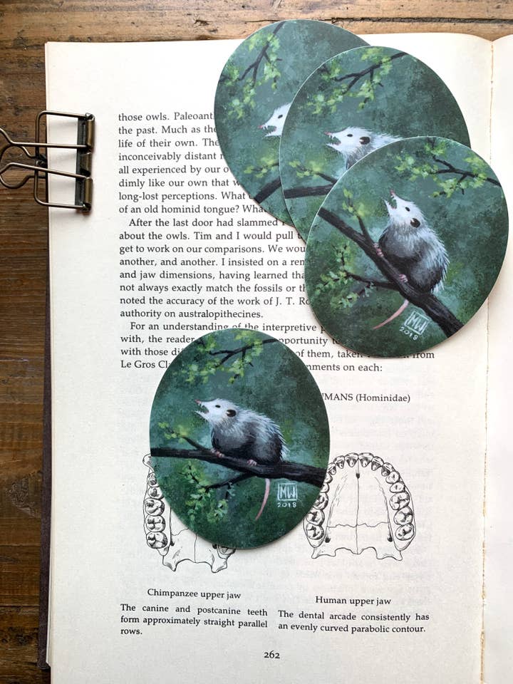 Opossum vinyl sticker for wholesale by The Creeping Moon