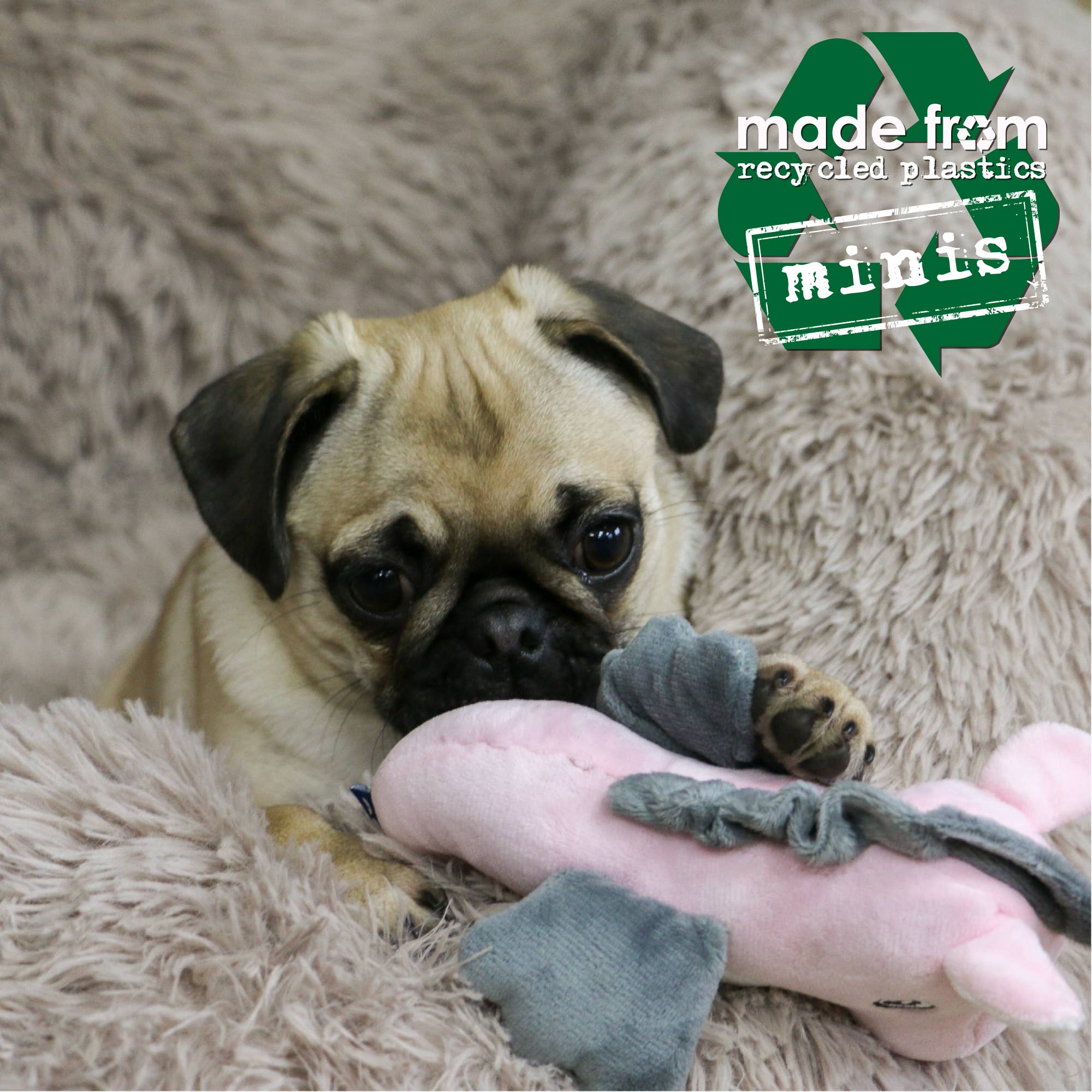 Ancol Pet Products Ltd – wholesale Pet plush toy – Dog – Made From Mini Turtle Seal And Seahorse1