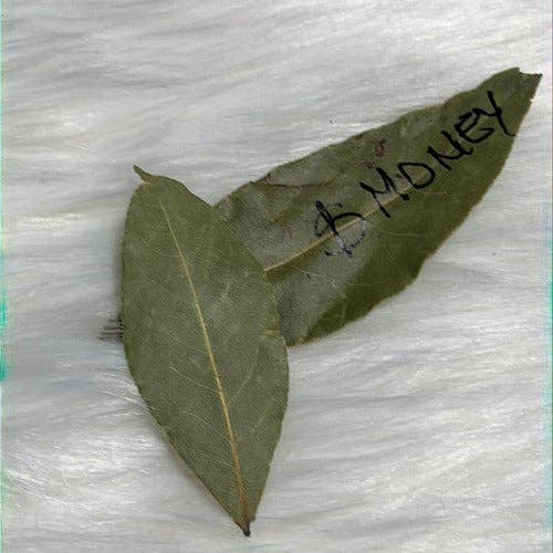 WHOLIFECO - Wholesale Meditation Supplies - Dozen of Bay leaves for manifestation - Prosperity & Abundance0