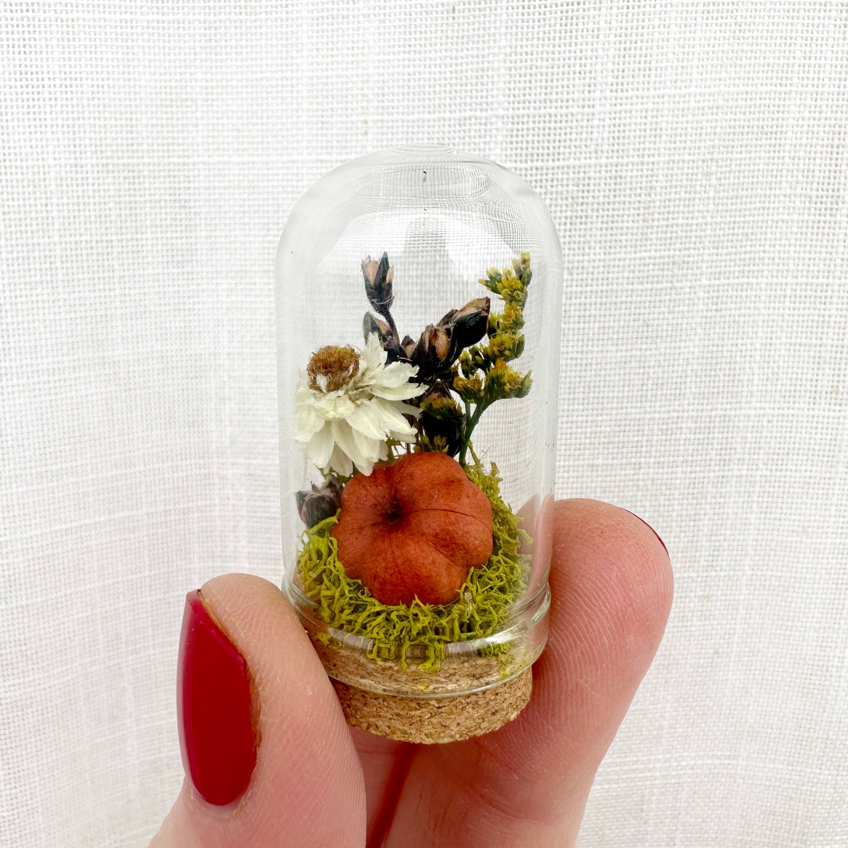CA Studios - Wholesale Terrarium - Pumpkin Mix Mini Terrarium Potion Jar w Dried Florals3